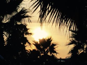 Der Sommer geht